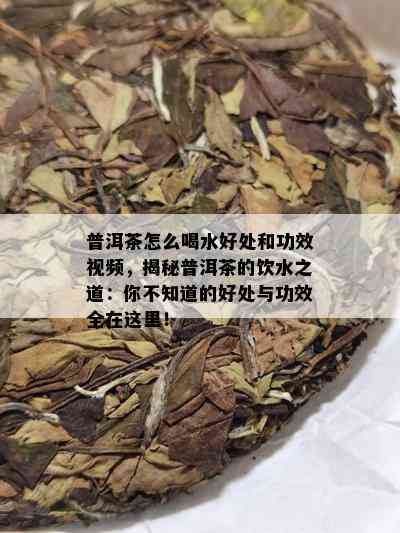 普洱茶怎么喝水好处和功效视频，揭秘普洱茶的饮水之道：你不知道的好处与功效全在这里！