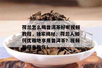 荷兰怎么喝普洱茶好呢视频教程，独家揭秘：荷兰人如何优雅地享用普洱茶？视频教程来教你！