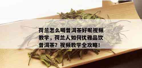 荷兰怎么喝普洱茶好呢视频教学，荷兰人如何优雅品饮普洱茶？视频教学全攻略！