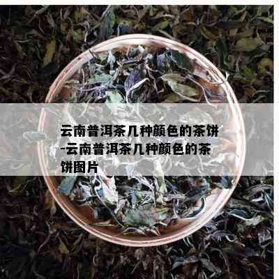 云南普洱茶几种颜色的茶饼-云南普洱茶几种颜色的茶饼图片