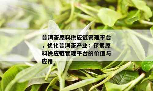 普洱茶原料供应链管理平台，优化普洱茶产业：探索原料供应链管理平台的价值与应用