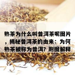 熟茶为什么叫普洱茶呢图片，揭秘普洱茶的由来：为何熟茶被称为普洱？附图解释