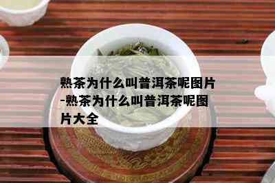 熟茶为什么叫普洱茶呢图片-熟茶为什么叫普洱茶呢图片大全