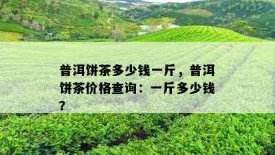 普洱饼茶多少钱一斤，普洱饼茶价格查询：一斤多少钱？