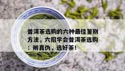 普洱茶选购的六种更佳鉴别方法，六招学会普洱茶选购：辨真伪，选好茶！