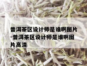 普洱茶区设计师是谁啊图片-普洱茶区设计师是谁啊图片高清