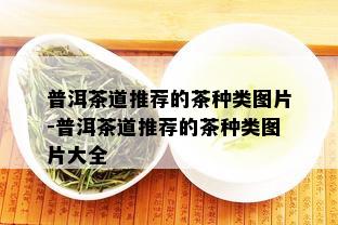 普洱茶道推荐的茶种类图片-普洱茶道推荐的茶种类图片大全