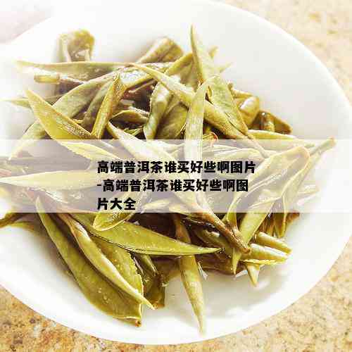 高端普洱茶谁买好些啊图片-高端普洱茶谁买好些啊图片大全