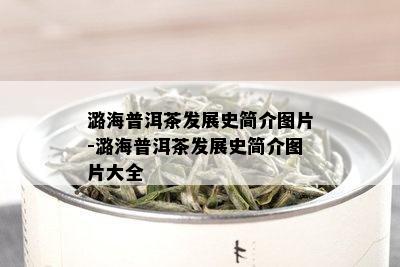 潞海普洱茶发展史简介图片-潞海普洱茶发展史简介图片大全