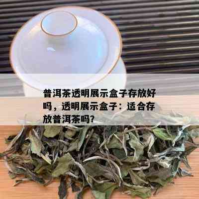 普洱茶透明展示盒子存放好吗，透明展示盒子：适合存放普洱茶吗？