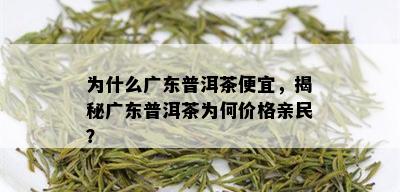 为什么广东普洱茶便宜，揭秘广东普洱茶为何价格亲民？