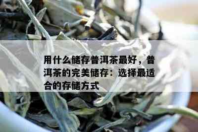 用什么储存普洱茶更好，普洱茶的完美储存：选择最适合的存储方式