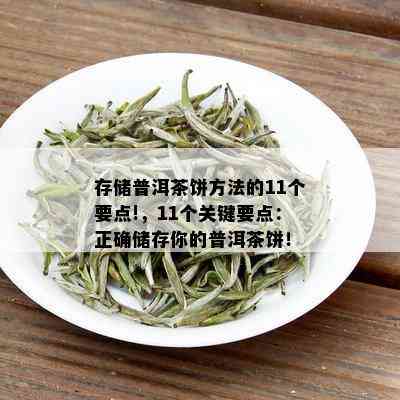 存储普洱茶饼方法的11个要点!，11个关键要点：正确储存你的普洱茶饼！