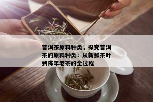 普洱茶原料种类，探究普洱茶的原料种类：从新鲜茶叶到陈年老茶的全过程