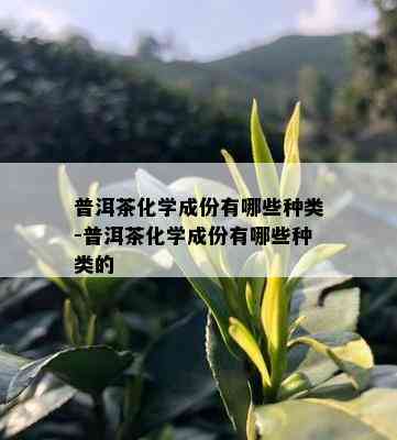 普洱茶化学成份有哪些种类-普洱茶化学成份有哪些种类的