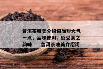 普洱茶唯美介绍词简短大气一点，品味普洱，感受茶之韵味——普洱茶唯美介绍词