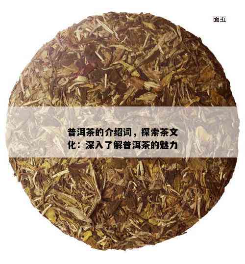 普洱茶的介绍词，探索茶文化：深入了解普洱茶的魅力