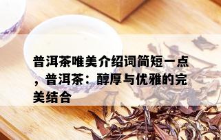 普洱茶唯美介绍词简短一点，普洱茶：醇厚与优雅的完美结合