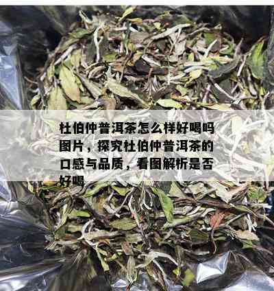 杜伯仲普洱茶怎么样好喝吗图片，探究杜伯仲普洱茶的口感与品质，看图解析是否好喝