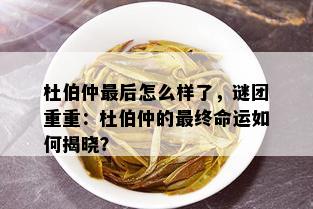 杜伯仲最后怎么样了，谜团重重：杜伯仲的最终命运如何揭晓？