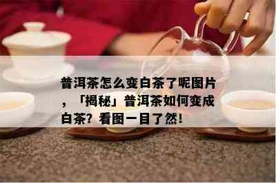 普洱茶怎么变白茶了呢图片，「揭秘」普洱茶如何变成白茶？看图一目了然！