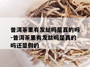 普洱茶里有发丝吗是真的吗-普洱茶里有发丝吗是真的吗还是假的