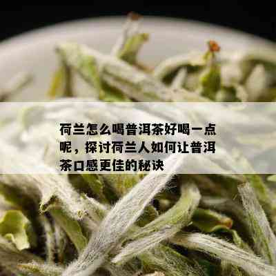 荷兰怎么喝普洱茶好喝一点呢，探讨荷兰人如何让普洱茶口感更佳的秘诀