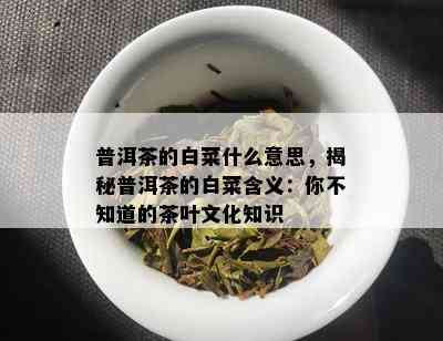 普洱茶的白菜什么意思，揭秘普洱茶的白菜含义：你不知道的茶叶文化知识