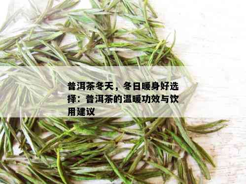 普洱茶冬天，冬日暖身好选择：普洱茶的温暖功效与饮用建议