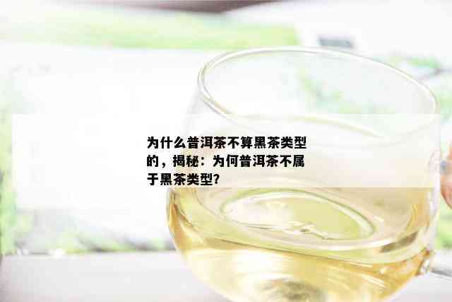 为什么普洱茶不算黑茶类型的，揭秘：为何普洱茶不属于黑茶类型？