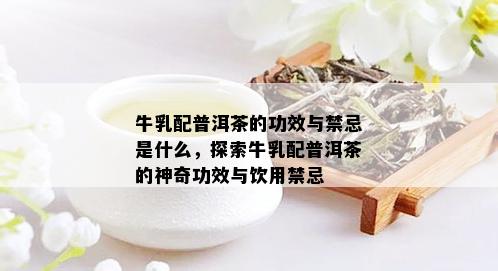 牛乳配普洱茶的功效与禁忌是什么，探索牛乳配普洱茶的神奇功效与饮用禁忌