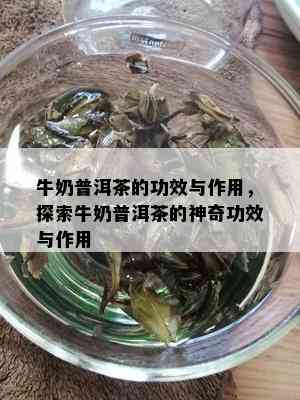 牛奶普洱茶的功效与作用，探索牛奶普洱茶的神奇功效与作用