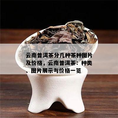 云南普洱茶分几种茶种图片及价格，云南普洱茶：种类、图片展示与价格一览