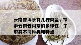 云南普洱茶有几种类型，探索云南普洱茶的多样性：了解其不同种类和特点