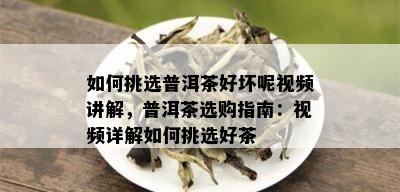 如何挑选普洱茶好坏呢视频讲解，普洱茶选购指南：视频详解如何挑选好茶