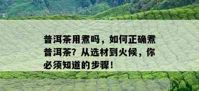 普洱茶用煮吗，如何正确煮普洱茶？从选材到火候，你必须知道的步骤！