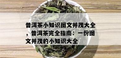 普洱茶小知识图文并茂大全，普洱茶完全指南：一份图文并茂的小知识大全