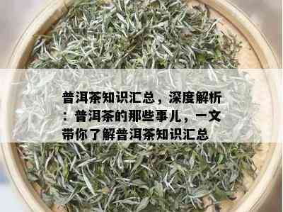 普洱茶知识汇总，深度解析：普洱茶的那些事儿，一文带你了解普洱茶知识汇总