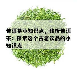 普洱茶小知识点，浅析普洱茶：探索这个古老饮品的小知识点