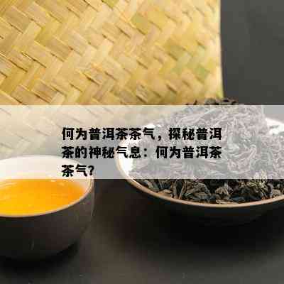 何为普洱茶茶气，探秘普洱茶的神秘气息：何为普洱茶茶气？