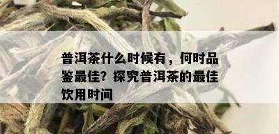 普洱茶什么时候有，何时品鉴更佳？探究普洱茶的更佳饮用时间