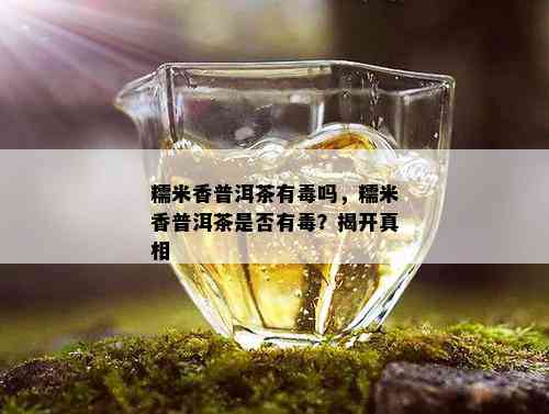 糯米香普洱茶有吗，糯米香普洱茶是否有？揭开真相