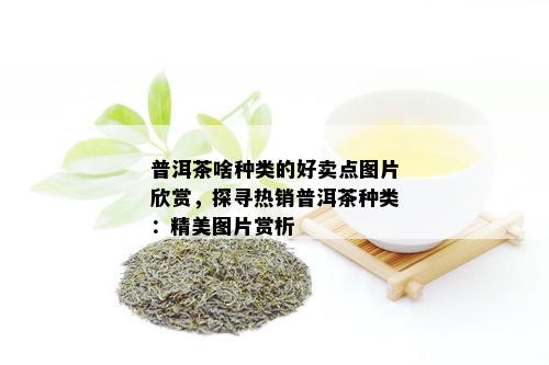 普洱茶啥种类的好卖点图片欣赏，探寻热销普洱茶种类：精美图片赏析