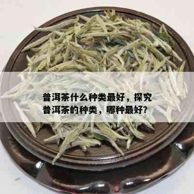 普洱茶什么种类更好，探究普洱茶的种类，哪种更好？