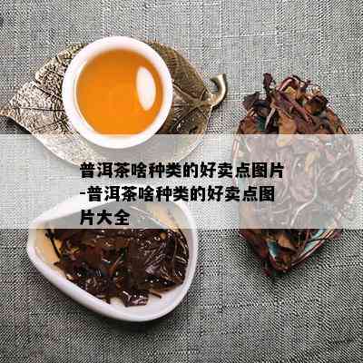 普洱茶啥种类的好卖点图片-普洱茶啥种类的好卖点图片大全