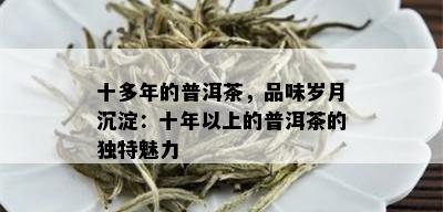 十多年的普洱茶，品味岁月沉淀：十年以上的普洱茶的独特魅力