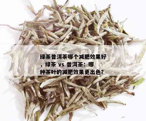 绿茶普洱茶哪个减肥效果好，绿茶 vs 普洱茶：哪种茶叶的减肥效果更出色？