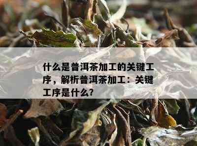 什么是普洱茶加工的关键工序，解析普洱茶加工：关键工序是什么？