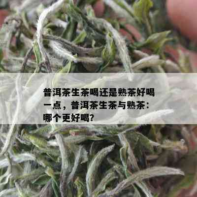 普洱茶生茶喝还是熟茶好喝一点，普洱茶生茶与熟茶：哪个更好喝？