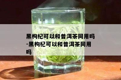 黑枸杞可以和普洱茶同用吗-黑枸杞可以和普洱茶同用吗